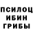 Галлюциногенные грибы Psilocybine cubensis Ilya Zanko