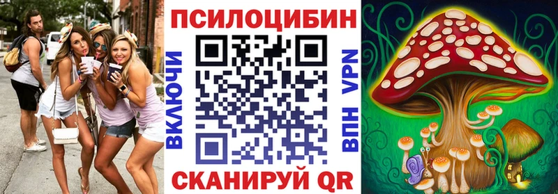 darknet наркотические препараты  Кинель  Псилоцибиновые грибы Psilocybine cubensis 